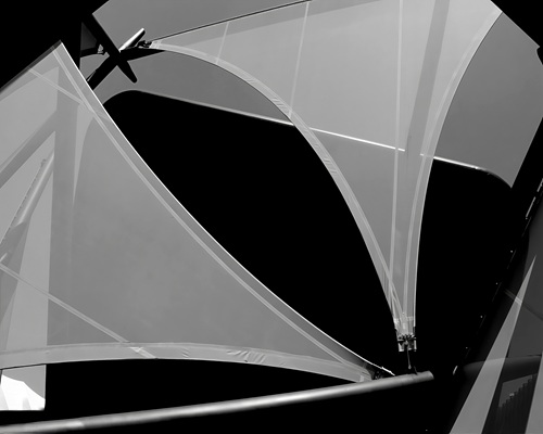 The “Universal Membrane” that Reshapes the Future